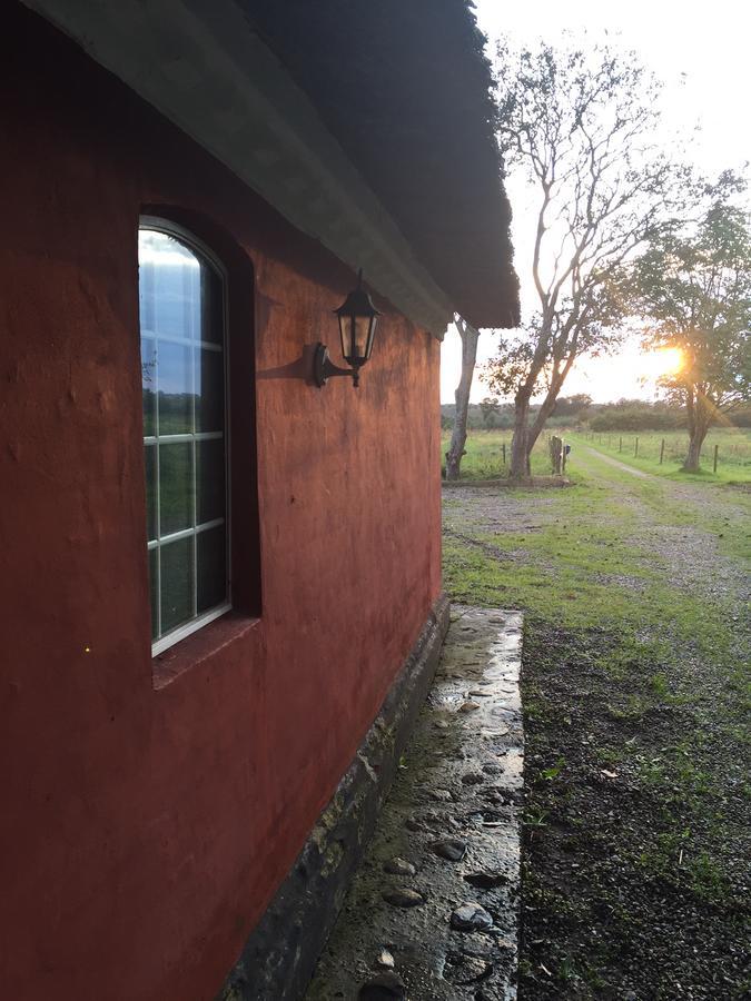 Alsbrogaard Bramming Exterior photo