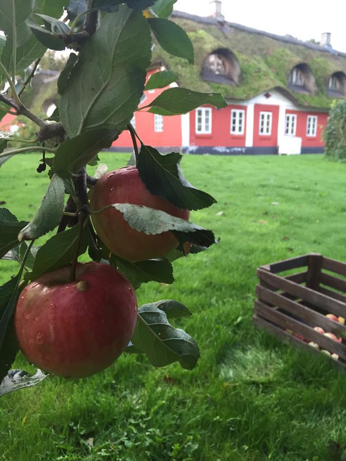 Alsbrogaard Bramming Exterior photo